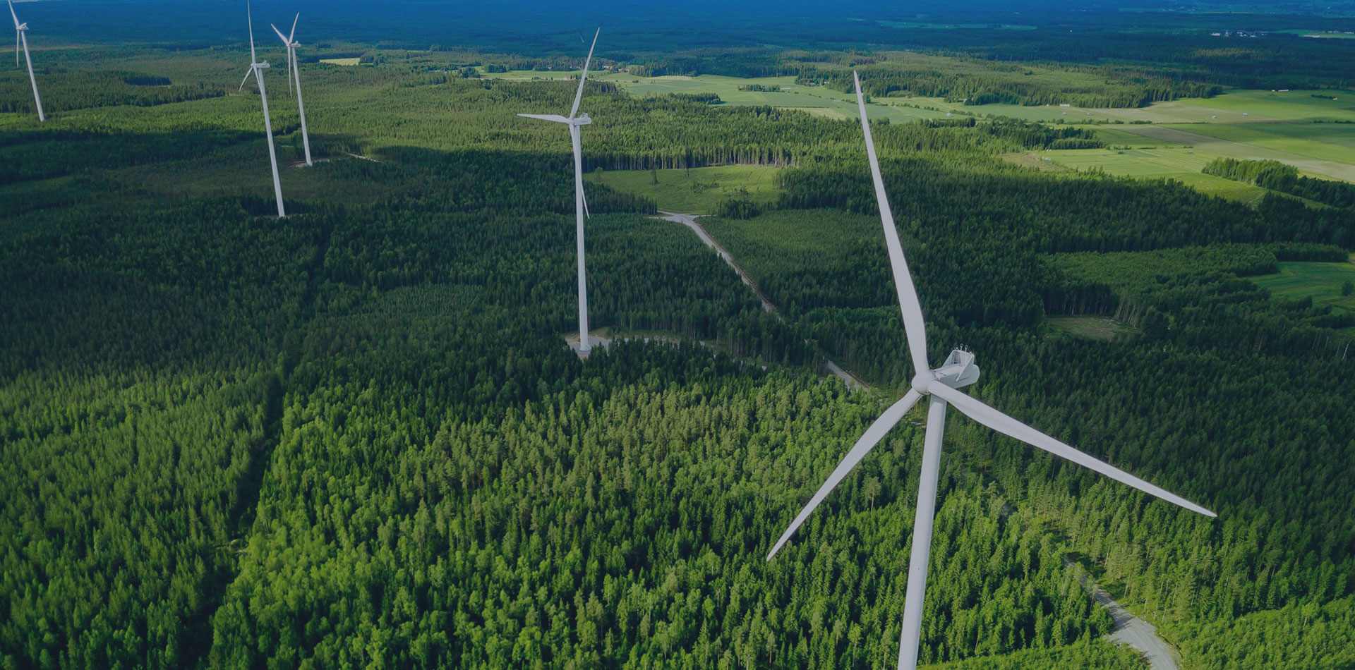 تنفيذ ودعم المشاريع والبرامج الموسمية